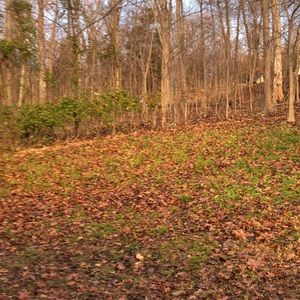 Meet your Posher, Tracey